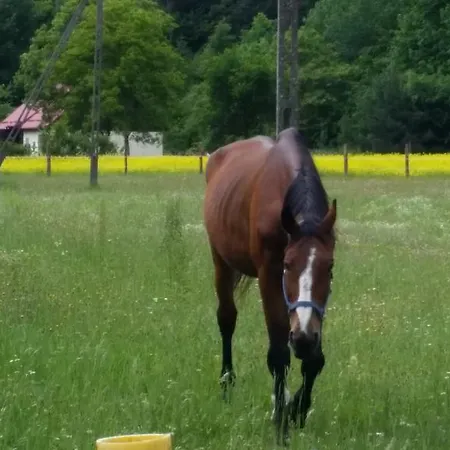 Sa Appartement Sopot